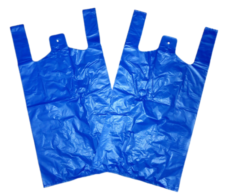 Carry Bags Small-Bottle Blue NPM 2000s 1