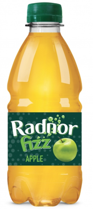 Drinks Radnor Fizz 45 Percent Sparkling Apple NPM 330ml 24