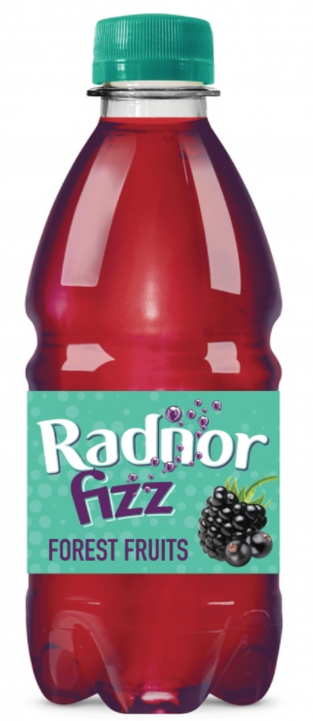 Drinks Radnor Fizz 45 Percent Sparkling Forest Fruits NPM 330ml 24
