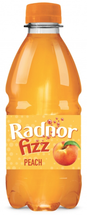 Drinks Radnor Fizz 45 Percent Sparkling Peach NPM 330ml 24